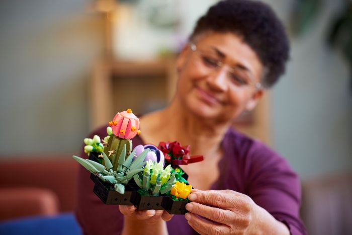Конструктор LEGO Botanicals Сукуленти