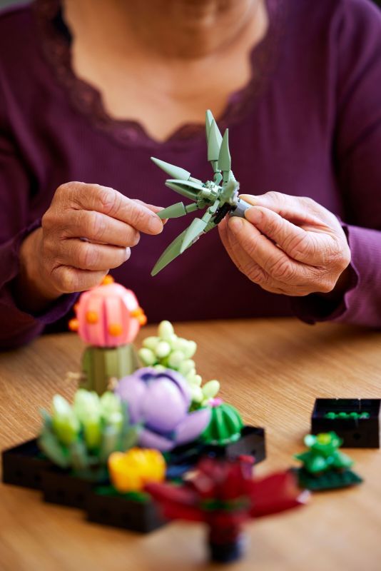 Конструктор LEGO Botanicals Сукуленти