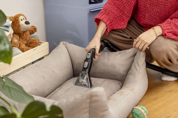 Насадка миюча для м'яких меблів Karcher SE