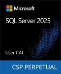 Програмний продукт Microsoft SQL Server 2025 - 1 User CAL