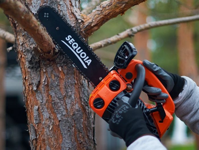 Пила ланцюгова бензинова SEQUOIA SPC0812 800Вт шина 30см 3/8" 1.3мм 4.8кг