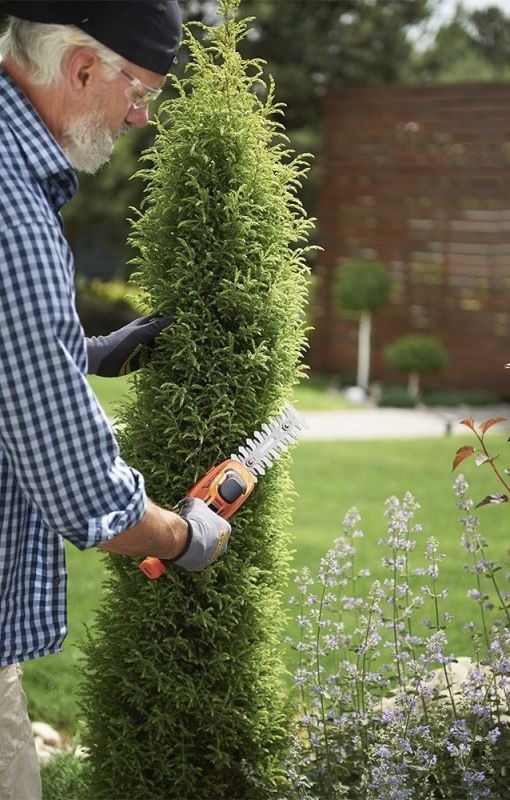 Ножиці для трави акумуляторні SEQUOIA SBC7213 7.2В + насадка кущоріз 12см крок різу 8мм 1x1.3А·год ЗП 0.7кг