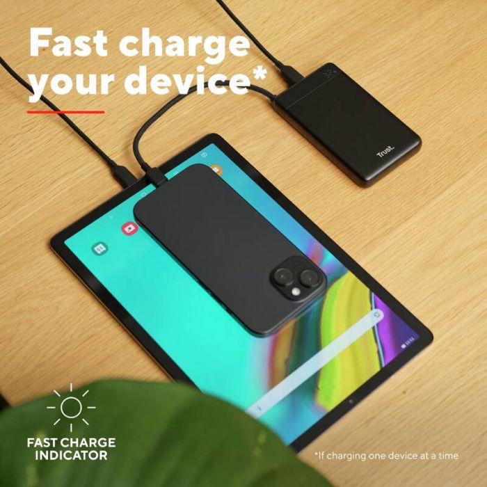Акумулятор портативний літій-іонний power bank Trust Fiera, 10000мА·год, 2хUSB-C, 20W, PD/QC 3.0, чорний