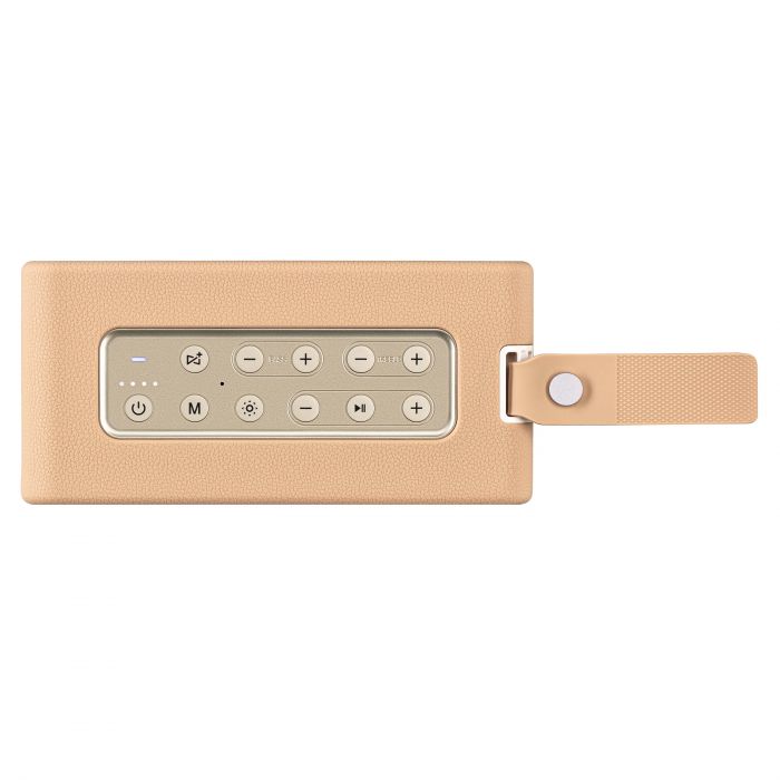 Портативна акустична система 2E SoundLegend 80Вт, BT 5.3, TWS, FLAC, MP3, WAV, EQ, PowerBank, IPX6, RGB, Коричневий