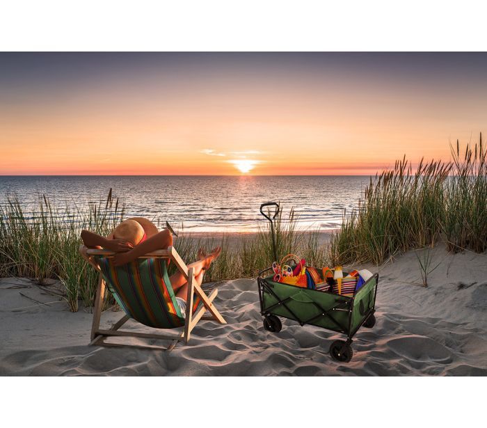 Візок садовий Neo Tools складний, нейлон, сталь 90x50x113см 4.72кг