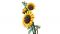 Конструктор LEGO Botanicals Букет соняшників