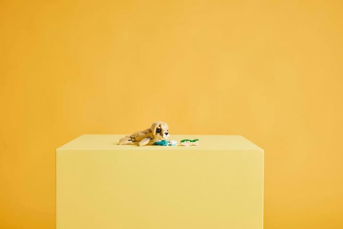 Конструктор LEGO Creator Чарівне кроленя