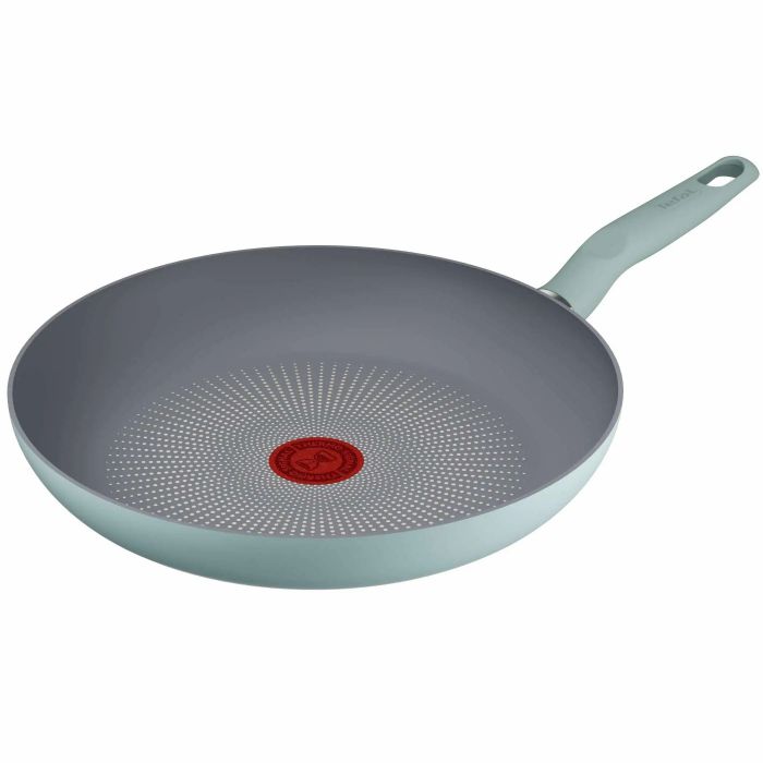 Сковорода Tefal Halo EUCALYPTUS, 28см, алюміній, бакеліт, сірий