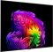 Телевізор 65" LG OLED 4K 120Hz (VRR 165Hz) Smart WebOS Black