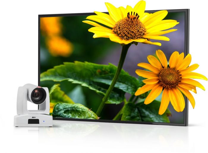 Моторизована камера AVer PTZ211, 12x optical zoom, Full HD, PTZ, PoE, білий