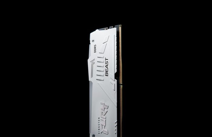 Пам'ять ПК Kingston DDR5  16GB 6000 FURY Beast  Білий RGB EXPO