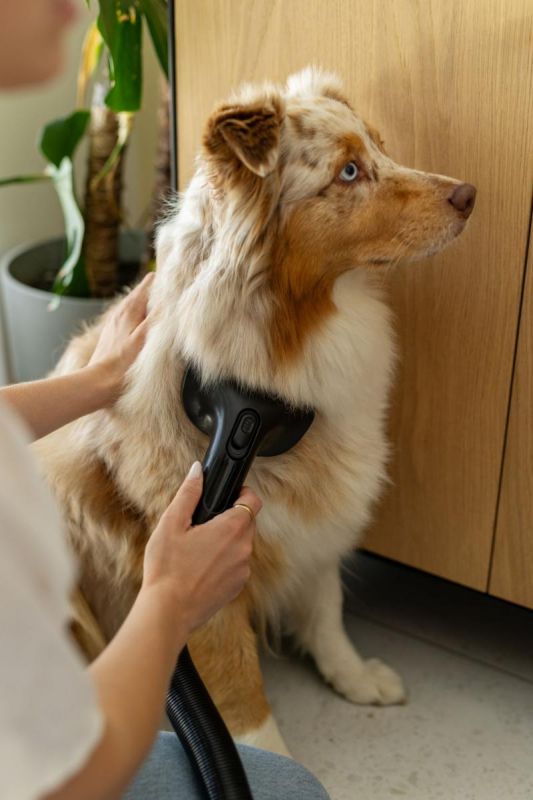 Пилосос Gorenje бездротовий, 125Вт, конт пил -0.6л, автон. робота до 60хв, HEPA, підсвічування, індикатор, турбощітка, бронзовий