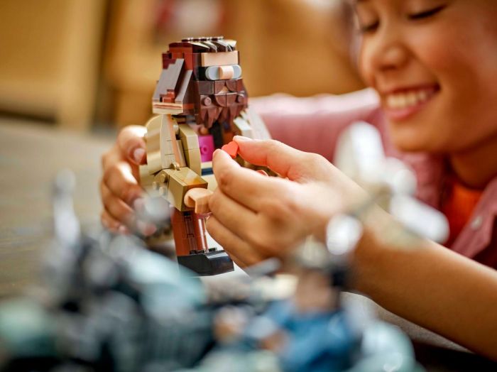 Конструктор LEGO Harry Potter Поїздка Геґріда й Гаррі на мотоциклі