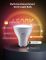 Набір ламп 2шт Govee B600D GU10 Smart LED Bulb, RGBWW, WI-FI/Bluetooth, білий