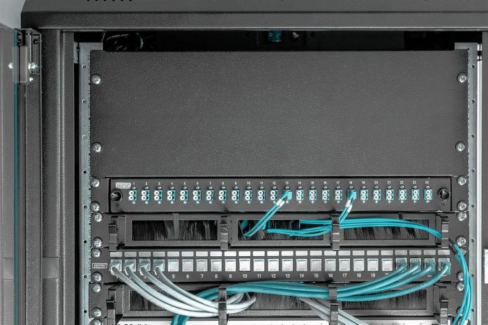 Заглушка DIGITUS 19’’ 2U, колір панелі чорний (RAL 9005)