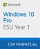 Програмний продукт Microsoft Windows 10 ESU Year 1 (2025 - 2026)